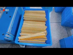 Phù hợp với Rohs60V 0.05A - 6A Thiết bị bảo vệ điện dòng